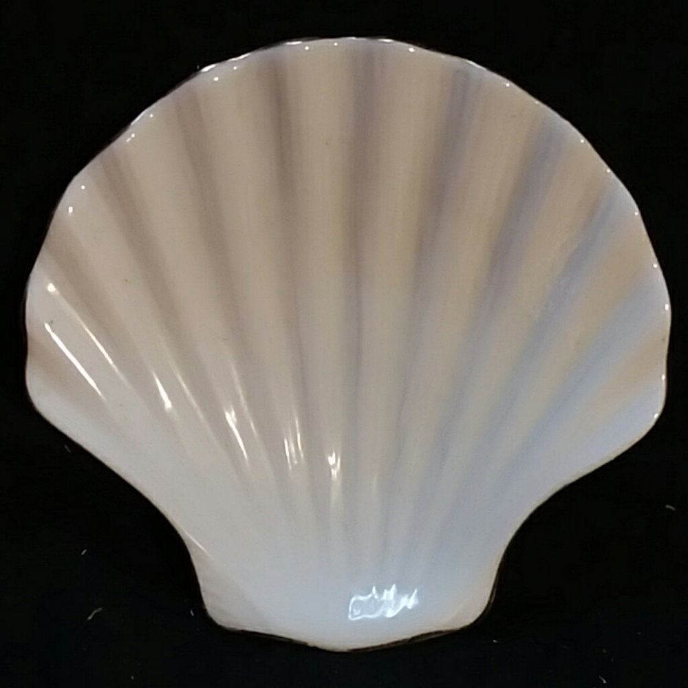 SeaShell Soap Dish